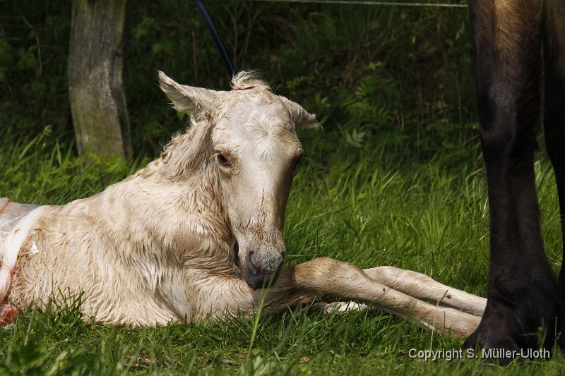 Hjoerdis 11 Min alt (3).JPG